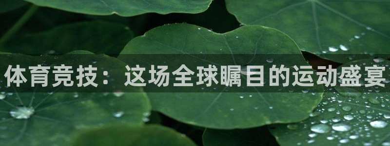 J9官方正版app集团logo:体育竞技:这场全球瞩目的运动