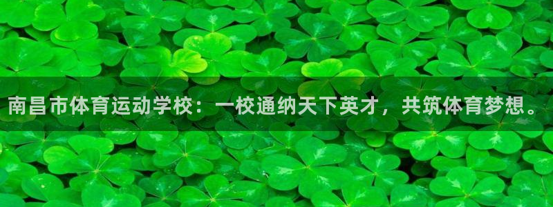 J9官方正版app集团logo:南昌市体育运动学校:一校通纳