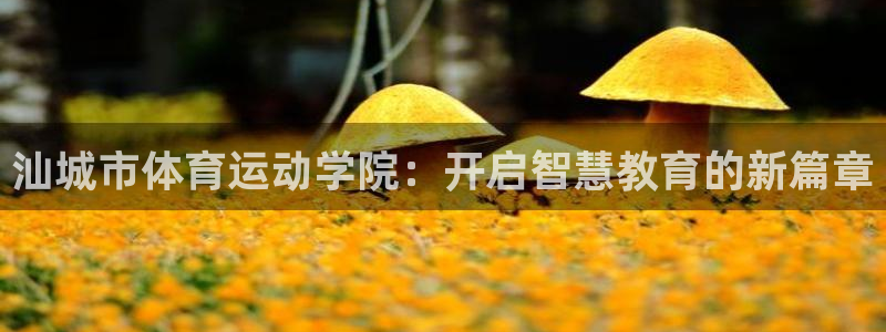 J9官网下载注册:汕城市体育运动学院:开启智慧教育的新篇章