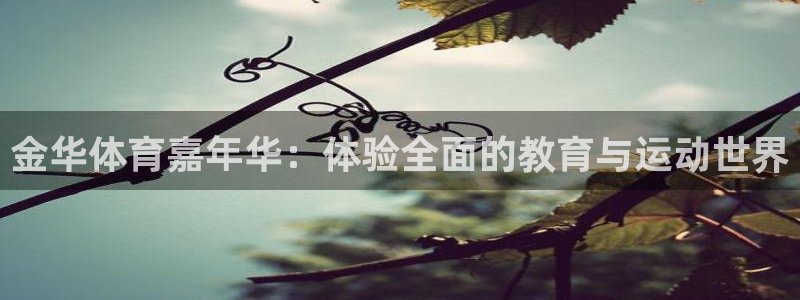 J9官方正版app开户:金华体育嘉年华:体验全面的教育与运动