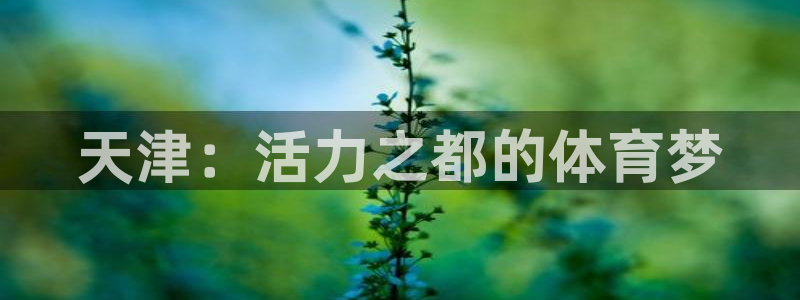 J9官网下载平台是正规平台吗知乎:天津:活力之都的体育梦